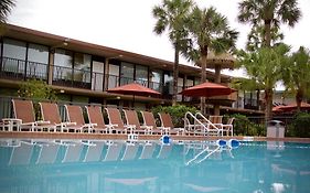 Magic Tree Resort Orlando Florida